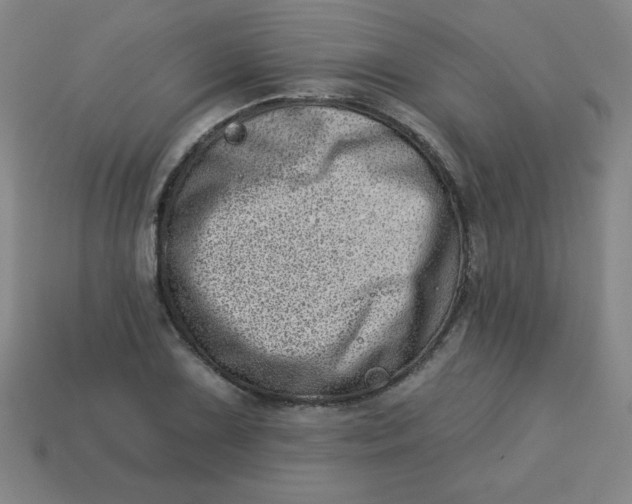 X0000113741075200910140958