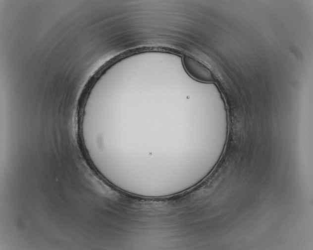 X0000113741076200910140958