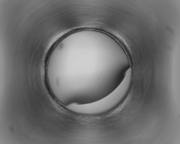 X0000113741077200910140958