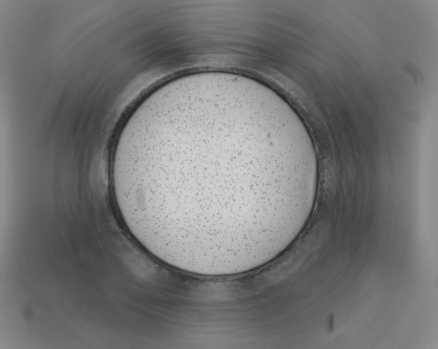 X0000113741078200910140958