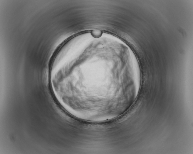 X0000113741079200910140958