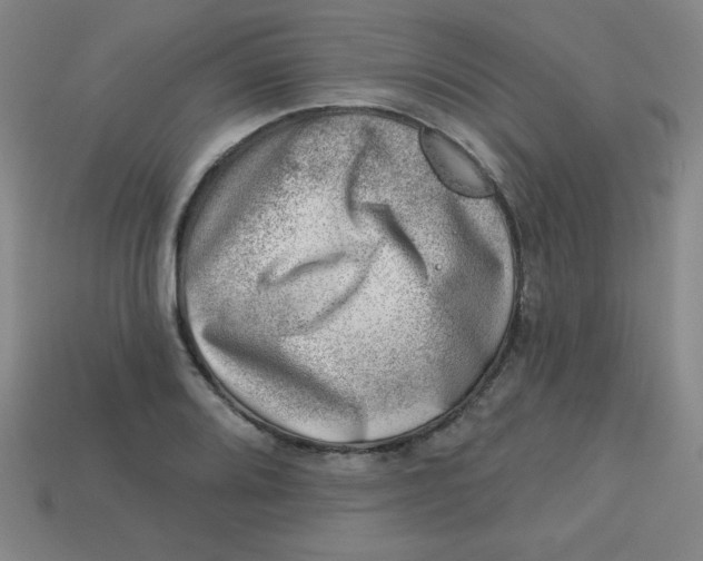 X0000113741080200910140958