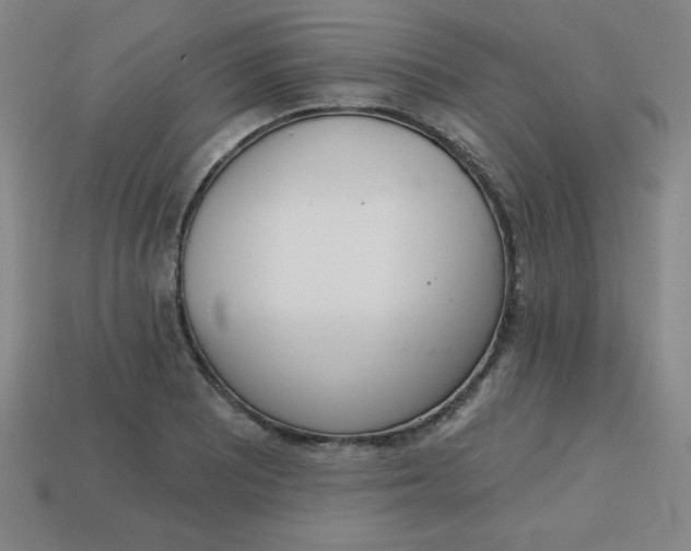 X0000113741081200910140958