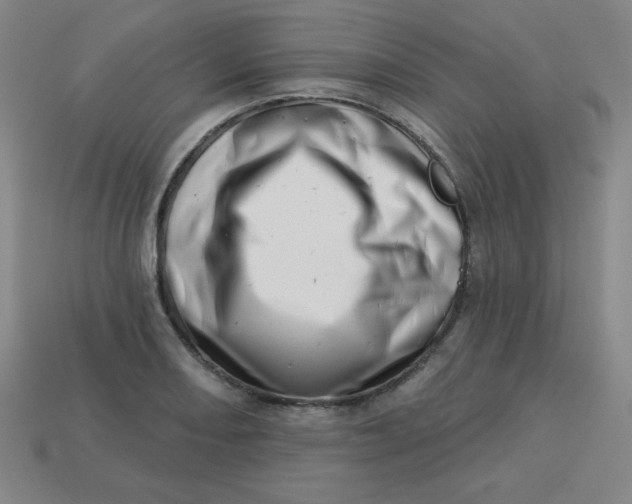 X0000113741082200910140958