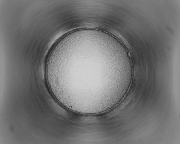 X0000113741083200910140958