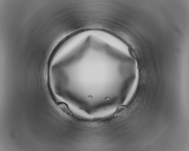 X0000113741084200910140958