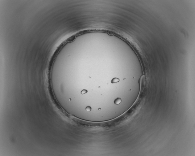 X0000113741085200910140958