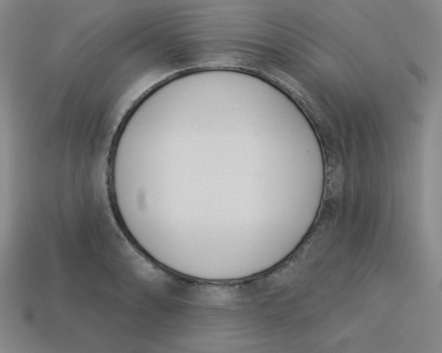 X0000113741086200910140958