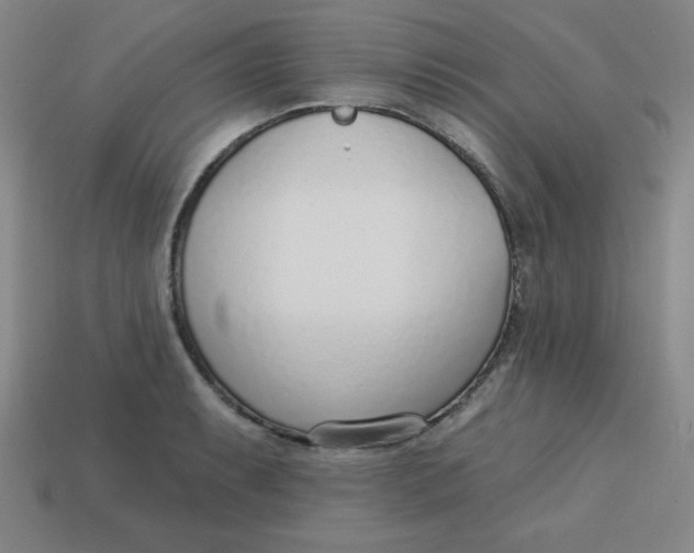 X0000113741087200910140958