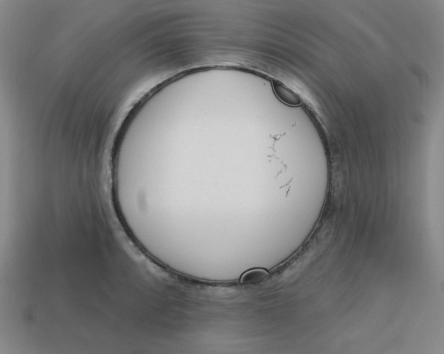 X0000113741088200910140958