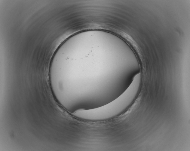 X0000113741089200910140958