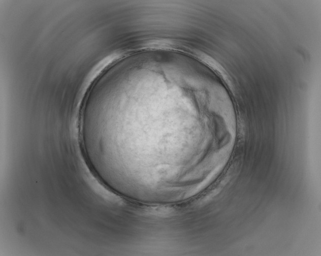 X0000113741090200910140958