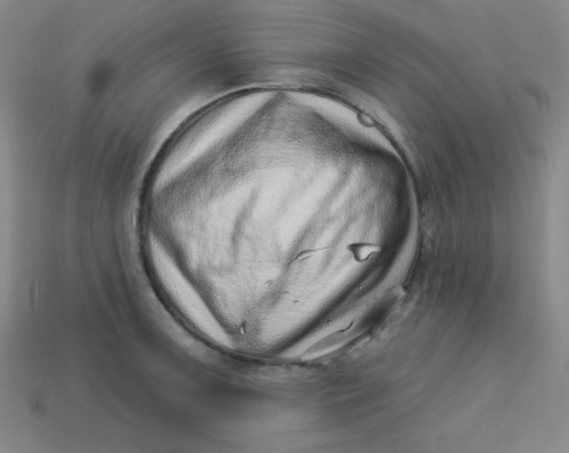 X0000113741091200910140958