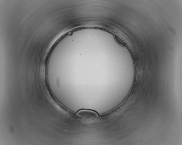 X0000113741092200910140958