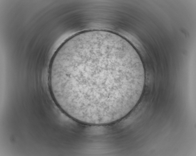 X0000113741094200910140958