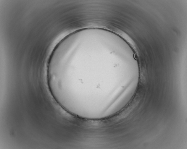 X0000113741096200910140958