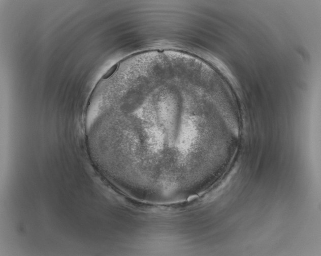 X0000113741097200910140958