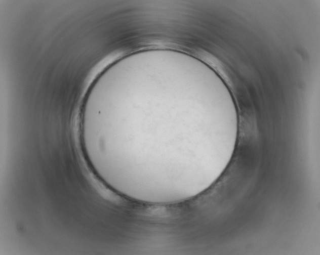 X0000113741098200910140958