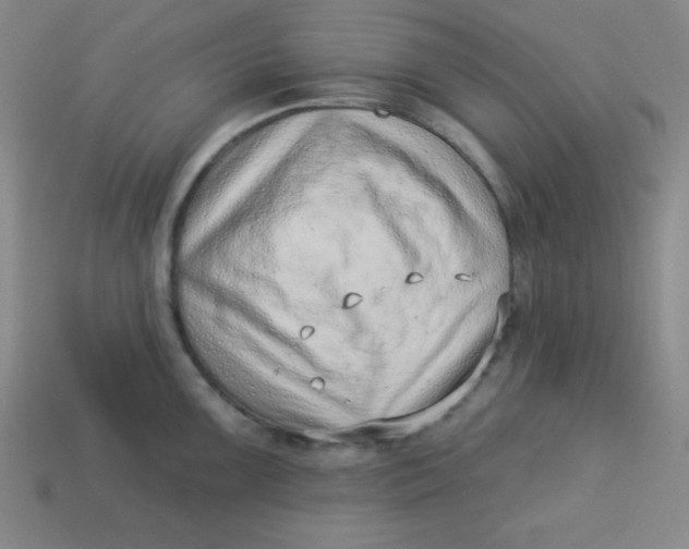 X0000113741099200910140958