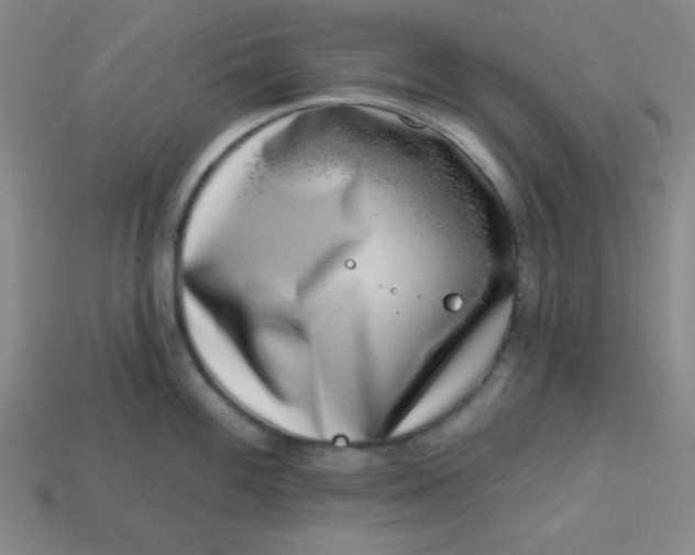 X0000113741100200910140958