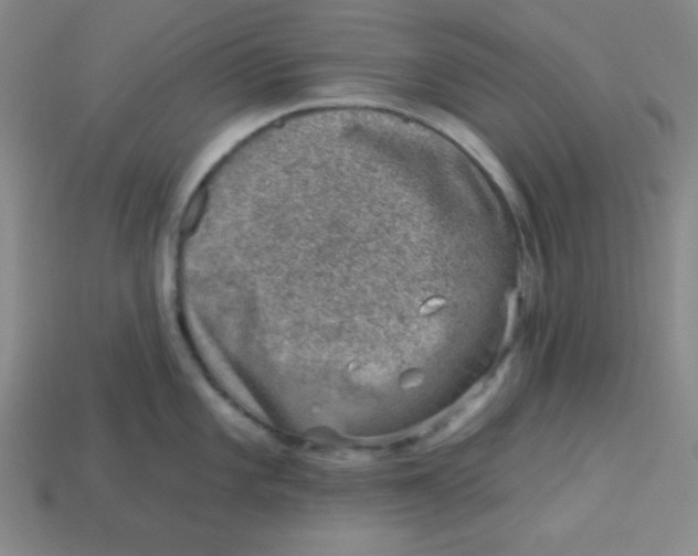 X0000113741101200910140958