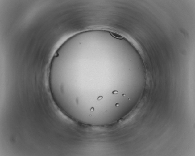 X0000113741102200910140958