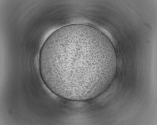 X0000113741103200910140958