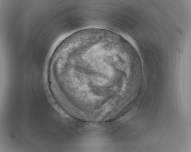 X0000113741104200910140958