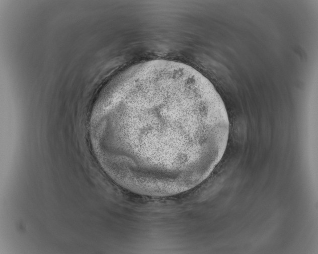 X0000113741105200910140957