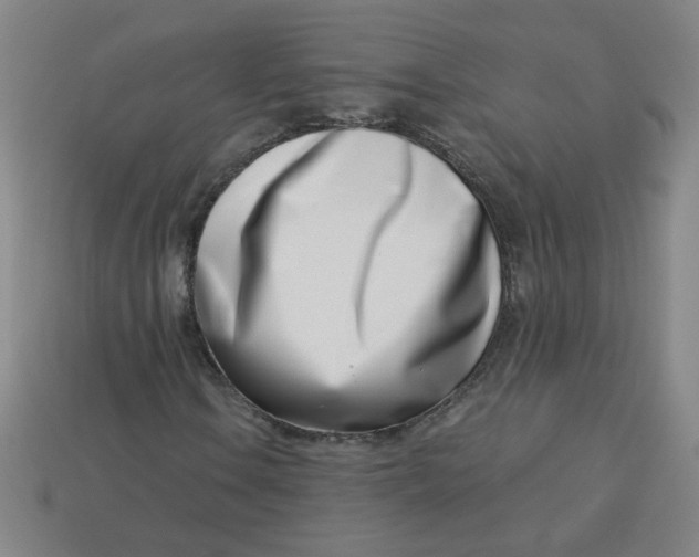 X0000113741106200910140957