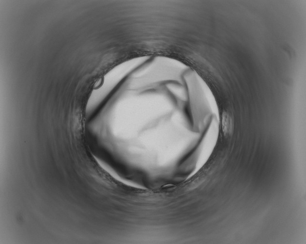 X0000113741107200910140957