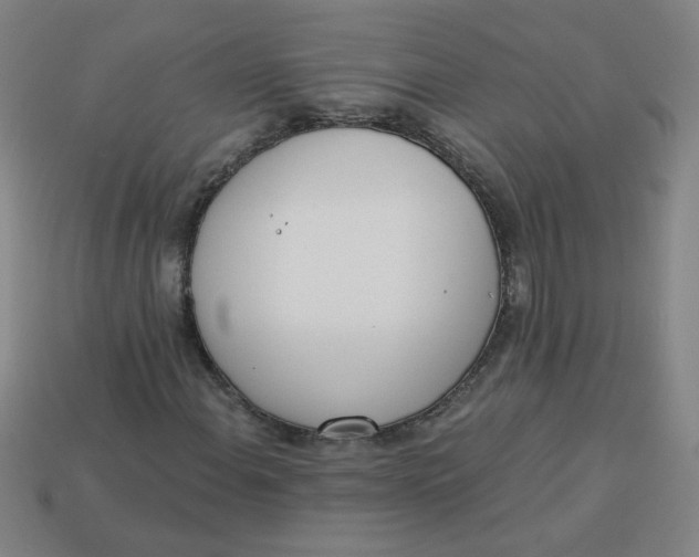 X0000113741108200910140957