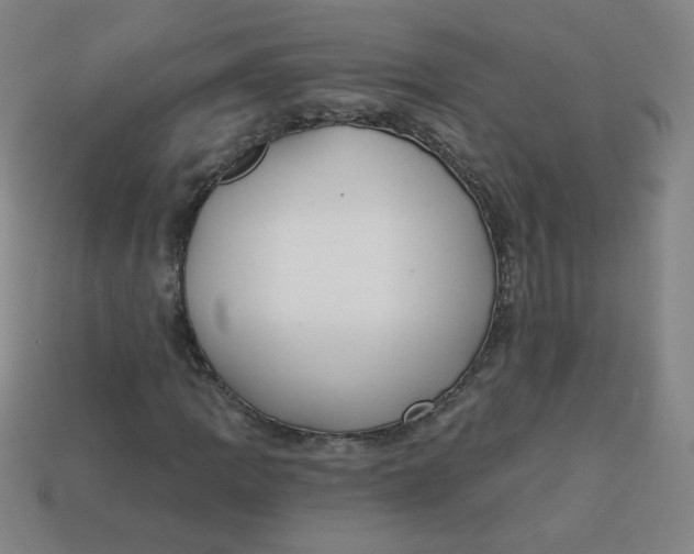 X0000113741109200910140957