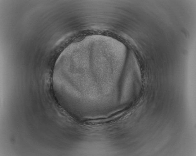 X0000113741110200910140957