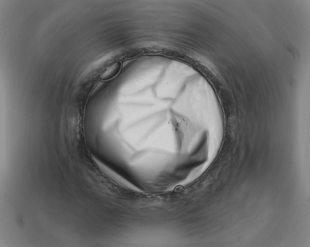 X0000113741111200910140957