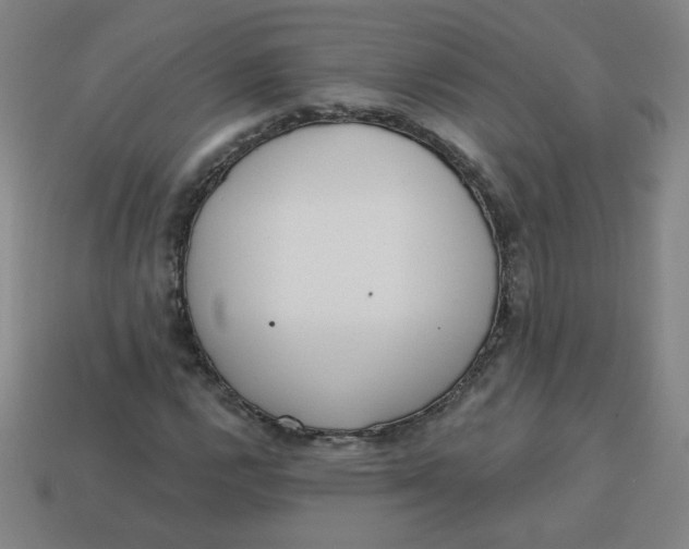 X0000113741112200910140957