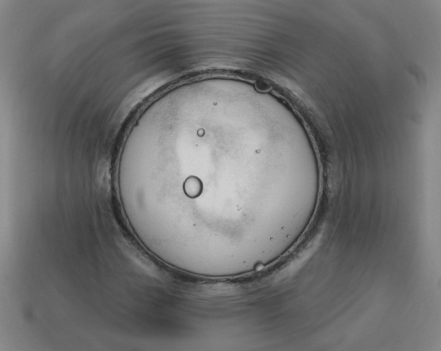 X0000113741113200910140957