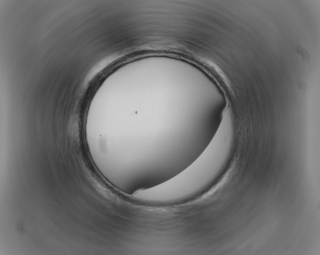 X0000113741114200910140957