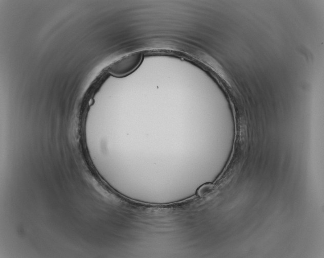 X0000113741116200910140957