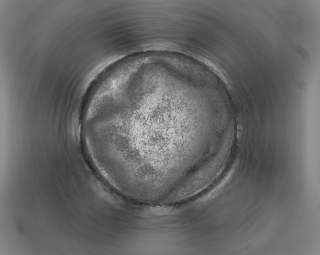 X0000113741117200910140957