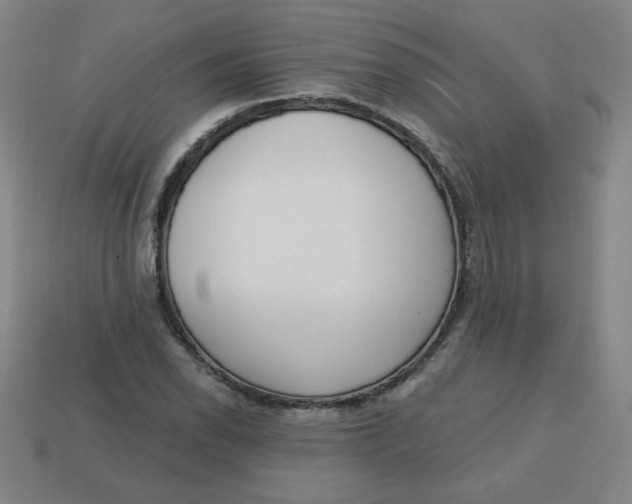 X0000113741118200910140957