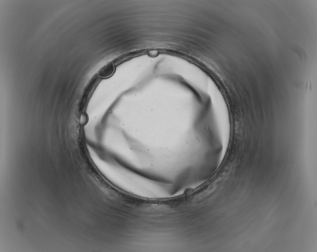 X0000113741119200910140957