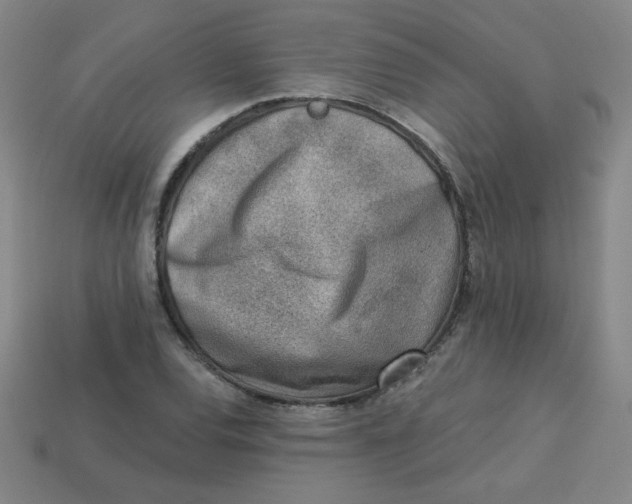 X0000113741120200910140957