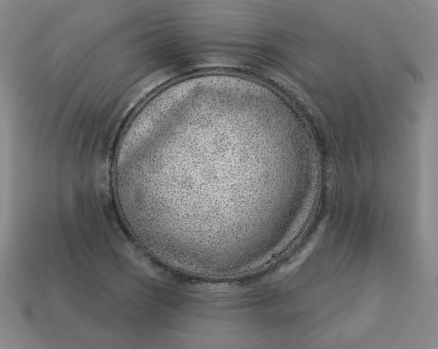 X0000113741121200910140957