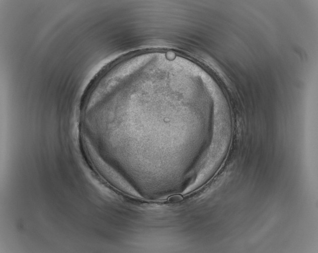 X0000113741124200910140957