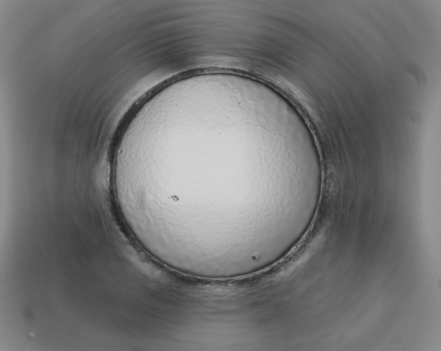 X0000113741125200910140957