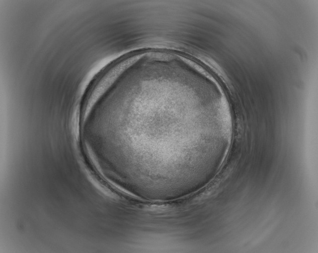 X0000113741128200910140958