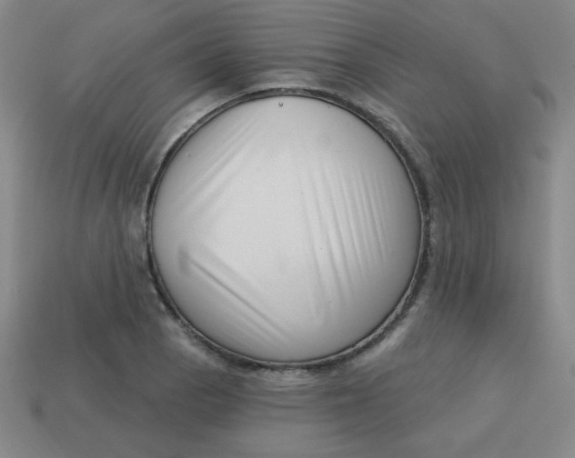 X0000113741129200910140958