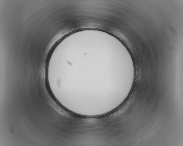 X0000113741130200910140958