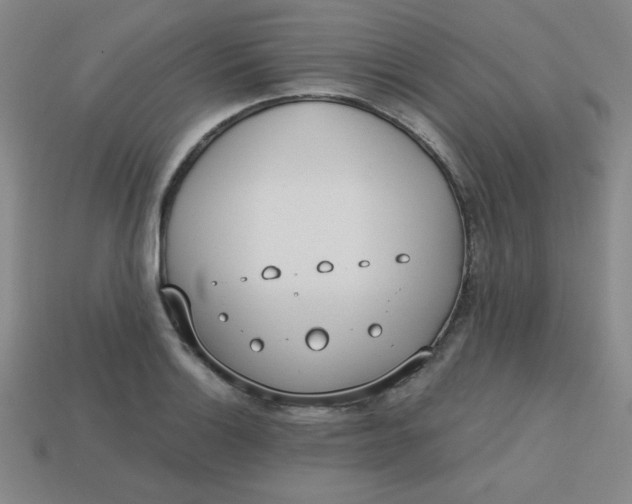 X0000113741132200910140958